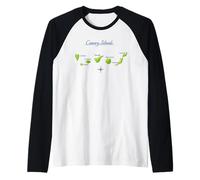 Îles Canaries Carte Tenerife Grande Canarie La Gomera Lanzarote Manche Raglan