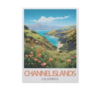 Îles Channel Californie，for Children 1000 Pieces Papier Puzzle Jigsaws, DIY Casual Puzzles Toys, for Adults and Teenagers Unique Gifts Toys（38x26cm）-IF87