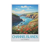 Îles Channel Californie，Puzzle en Papier 1000 Pieces Adultes Enfants Classique Jeu Cadeau（50x70cm）-IF89
