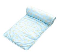ILESTDG Freshpet Tapis Rafraîchissant pour Chien Et Chat, Fresh Pet Tapis De Bien-être pour Chien Et Chat, L'oreiller Qui Apporte 2 À 4°C De Fraîcheur (Banane Bleue,S(60 * 40CM))
