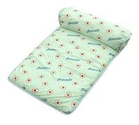 ILESTDG Freshpet Tapis Rafraîchissant pour Chien Et Chat, Fresh Pet Tapis De Bien-être pour Chien Et Chat, L'oreiller Qui Apporte 2 À 4°C De Fraîcheur (Avocat Vert,S(60 * 40CM))