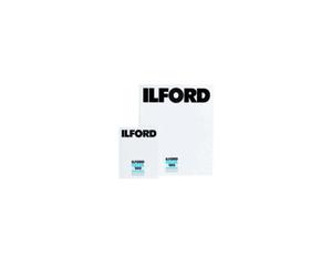 Ilford Delta 100 plan film N&B 9x12 - 100 ISO 25 feuilles