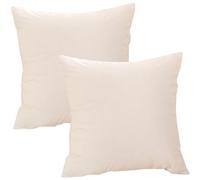 ILiemao Housse Coussin Noel 50x50 40x40 40x60 Couverture Oreiller 50x70 80x40 Maternelle Sieste Taie d'oreiller Velours Lot De 2 Noël Canapé Rectangle Throw Pillow Covers(Beige,60x70 CM 24x28 in)