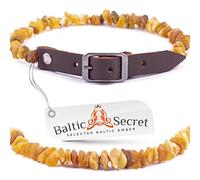 iLikeAmber. com Baltic Secret Collier pour chien & chat de Baltic Secret/en 100% ambre véritable Ambre Ambre/ la pProtection naturelle contre les tiques /chien tique Protection/chien - Collier/ la vermine Collier Chat et Chien/ Toutes les tailles