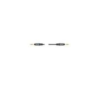iLine Stereo Aux