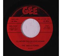 i'll never fall in love again / rosie lee 45 rpm single