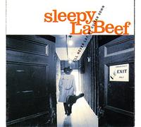 I'll Never Lay My Guitar [Import]