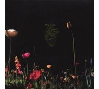 I'll Never Sleep Again