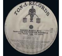 I'll Take You to Love (x5, The Todd Terry Mixes) [Import]