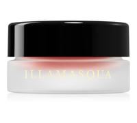 Illamasqua Colour Veil Blush Crème Teinte Tonic 4,5 Ml