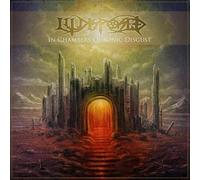 Illdisposed - In Chambers Of Sonic Disgust (Red Vinyl) [VINYL]