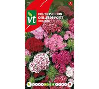 Œillet de poète Mixed Colour Graines - Plante traditionnelle aux coloris variés et harmonieux très appréciée.