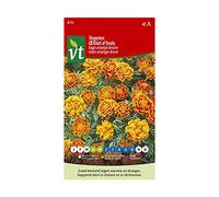 Œillet d'Inde Nain orange-brun