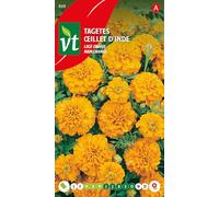 Œillet d'Inde Nain orange Graines - Fleurissent sans interruption jusqu’aux gelées