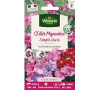 Vilmorin Graines à semer Œillet Mignardise simple varié