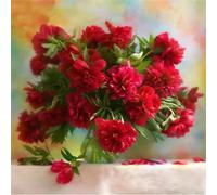 Œillet Rouge Puzzle 70 Pièces pour Adultes, 45x45cm Puzzles Classiques 70 pièces, DIY Activité Familiale Jigsaw Puzzle Jeux, Unique Décoration Murale de la Maison Cadeau