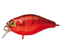 Illex Chubby 38 3.8cm 4g Flottant Leure Poisson nageur NOUVELLES COULEURS 2026