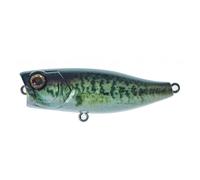 Illex Chubby Popper 42 RT Biwako Bass 4,2 Cm / 3,3 G Leurres De Surface Wobbler