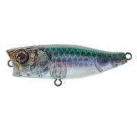 Illex Chubby Popper 42 RT Bleak 4,2Cm / 3,3G Leurres De Surface Wobbler