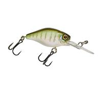 Illex Diving Chubby 3.8cm 4.3g Flottant Leure Poisson nageur NEUF COULEURS 2025