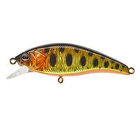 Illex - Flat Tricoroll 55 S HL Gold Trout - 84808