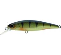 Illex LEURRE SUSPENDING SQUAD MINNOW 65 SP - 6.5CM