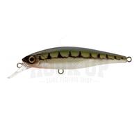Illex Squad minnow 65 sp