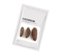 Illkjasfc Aquariums Cachette Artisanat Décorations naturelles Plantes Fournitures d'aquariums Décorations d'art de la mer Décorations d'aquarium