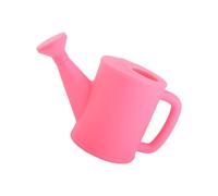 Illkjasfc Arrosoir pour plante d'intérieur - Petit arrosoir pour plante d'intérieur, jardin, fleur - Long bec - Arrosoir pour jardin extérieur