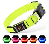 Illumifun Collier de sécurité Lumineux à LED Rechargeable par USB en Nylon pour Rendre Votre Chien Visible et en sécurité dans l'obscurité (Vert, Taille M)