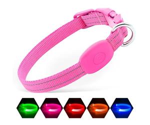 Illumifun Collier LED pour chien, collier lumineux rechargeable par USB pour promenade nocturne, étanche, réglable, lumière de sécurité pour petits chiens et chats (rose, taille XS)