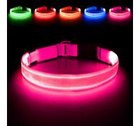 Illumifun Collier LED pour chien | Collier lumineux rechargeable par USB, résistant à l'eau, collier de sécurité réglable pour chiens de petite, moyenne et grande taille (rose, taille L)