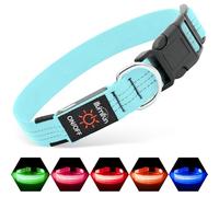 Illumifun Collier LED pour chien, collier lumineux réfléchissant pour petit chien, collier lumineux rechargeable par USB pour chiens, pour promenade, camping (bleu, taille S)