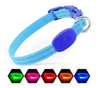Illumifun Collier LED pour petits chiens - Collier de sécurité pour chien rechargeable par USB, collier lumineux réglable en nylon pour vos chiots (bleu, taille XS)