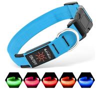 Illumifun Collier lumineux à LED pour chien, collier de sécurité réglable rechargeable par USB qui brille dans le noir (bleu, taille L)