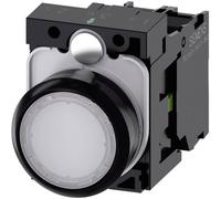 Illuminated Pushbutton, White