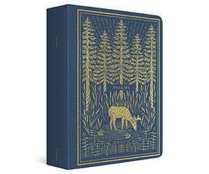 Illuminated Scripture Journal: English Standard Version: The Psalms