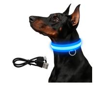 Illumiseen Collier pour chien à DEL rechargeable - Collier lumineux pour promenade nocturne - Étanche, rechargeable par USB, collier pour chien pour plus de sécurité - Collier lumineux à DEL RVB pour
