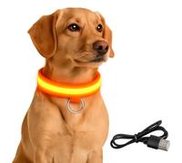 Illumiseen Collier pour chien à DEL rechargeable - Collier lumineux pour promenade nocturne - Étanche, rechargeable par USB, collier pour chien pour plus de sécurité - Collier lumineux à DEL RVB pour