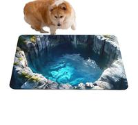 Illusion Door Mat, 3D Optical Effect Rug, Anti Slip Aesthetic Entrance Carpet with Visual Depth Design, Floor Mat Decoration, Modern Home Style Accent for Indoor Porch Bathroom Kitchen Use
