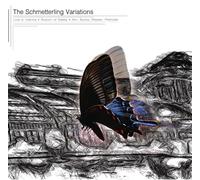 Illusion of Safety;Dan Burke;Various - The Schmetterling Variations