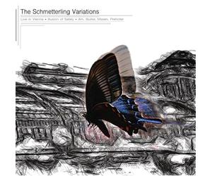 Illusion of Safety;Dan Burke;Various - The Schmetterling Variations
