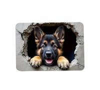 Illusion Rug,Squirrel and Dog Soft Non-Slip Stain Resistant Quick Dry Mat,3D Optical Illusion Rug | Realistic for Birthday Halloween Thanksgiving Home Holiday New Year Party Eve Living Room