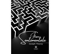 Illusion sentimentale