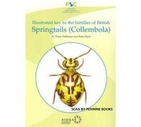 Illustrated Key To The Families Of British Springtails (Collembola)