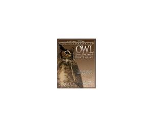 Illustrated Owl: Barn, Barred & Great Horned