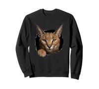 Illustration animalière d'un Chat Sauvage de Caracal Qui Traverse Un Trou déchiré Sweatshirt