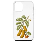 Illustration botanique du Tamarin Coque pour iPhone 12/12 Pro