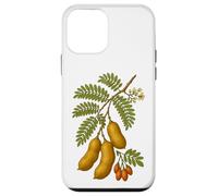Illustration botanique du Tamarin Coque pour iPhone 12 Mini