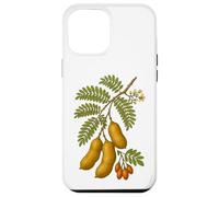 Illustration botanique du Tamarin Coque pour iPhone 12 Pro Max